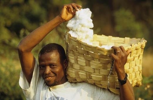 cotton.jpg